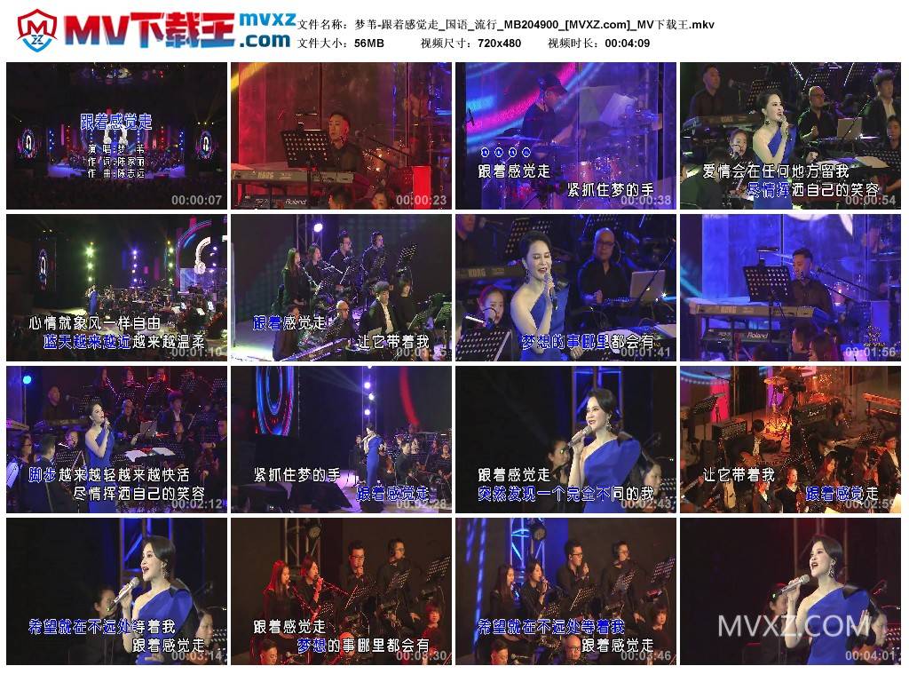 梦苇-跟着感觉走_国语_流行_MB204900